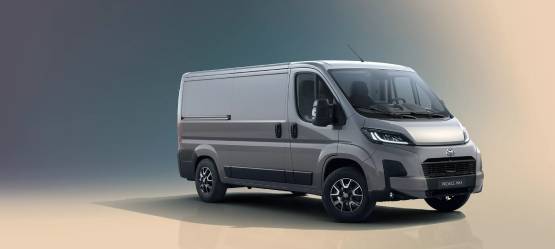 PROACE MAX